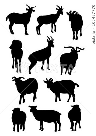 Collection silhouettes ram and goat. Vector illustration. Isolated hand drawings farm animals on white background for design. 103457770