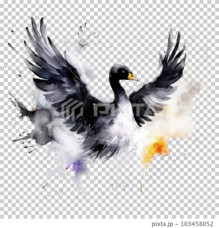 Watercolor black swan. Illustration AI Generative 103458052