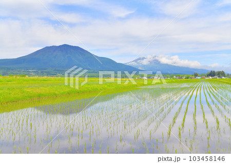 長野県信濃町大井より黒姫山、妙高山方面を望む(長野県信濃町)【2023.5】 長野県信濃町大井より黒姫山、妙高山方面を望む(長野県信濃町)【2023.5】 103458146
