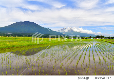 長野県信濃町大井より黒姫山、妙高山方面を望む(長野県信濃町)【2023.5】 103458147