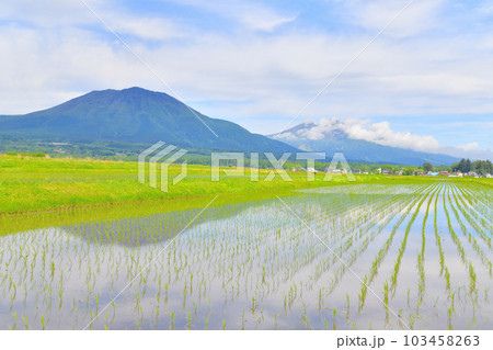 長野県信濃町大井より黒姫山、妙高山方面を望む(長野県信濃町)【2023.5】 103458263