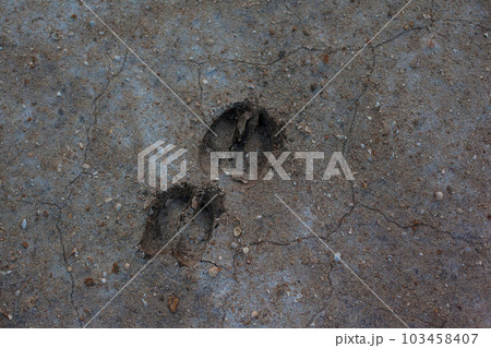 Gray background with cracks and hollows 103458407
