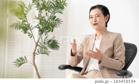 話をする女性 話をする女性 103458534