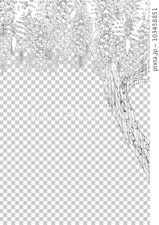 藤の木線画 103458851