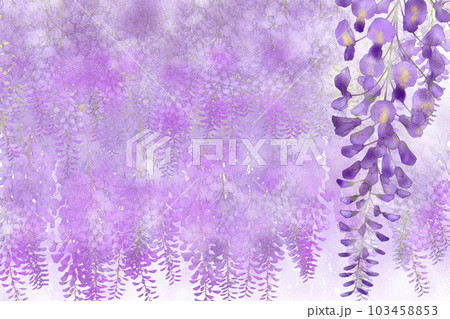 紫の藤の花カード 103458853