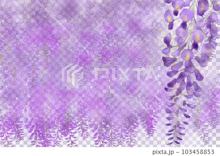 紫の藤の花カード 103458853