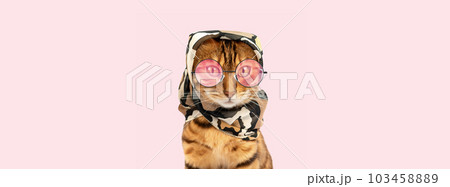 Cat with a headband and glasses on a pink banner. Cat with a headband and glasses on a pink banner. 103458889