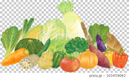 vegetables 103459062