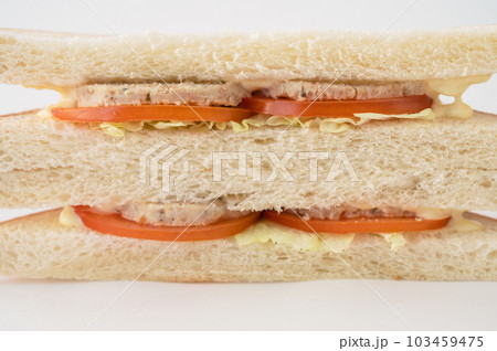 Meat sandwich with fresh tomato Meat sandwich with fresh tomato 103459475