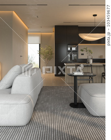 Modern style conceptual interior room 3d illustration 103459677