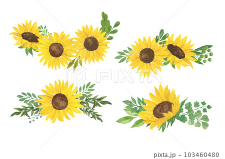 Sunflowers and leaves bouquet watercolor hand drawn floral illustration, summer field agricultural plant, flower and leaf, arrangement for greeting card, wedding invitations, holiday design Sunflowers and leaves bouquet watercolor hand drawn floral illustration, summer field agricultural plant, flower and leaf, arrangement for greeting card, wedding invitations, holiday design 103460480
