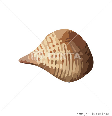 Vector Seashell watercolor illustration. Hand drawn underwater element design. Artistic vector marine design element. Illustration for greeting cards, printing and other design projects. Vector Seashell watercolor illustration. Hand drawn underwater element design. Artistic vector marine design element. Illustration for greeting cards, printing and other design projects. 103461738