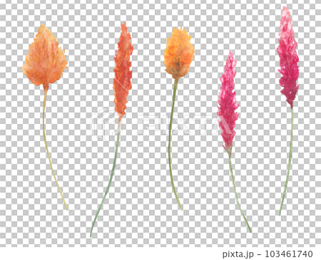Set of watercolor plants and flowers, illustration design elements isolated on white background. Collection of dried flowers for textile, wallpapers, wedding, greeting or invitation card. Set of watercolor plants and flowers, illustration design elements isolated on white background. Collection of dried flowers for textile, wallpapers, wedding, greeting or invitation card. 103461740