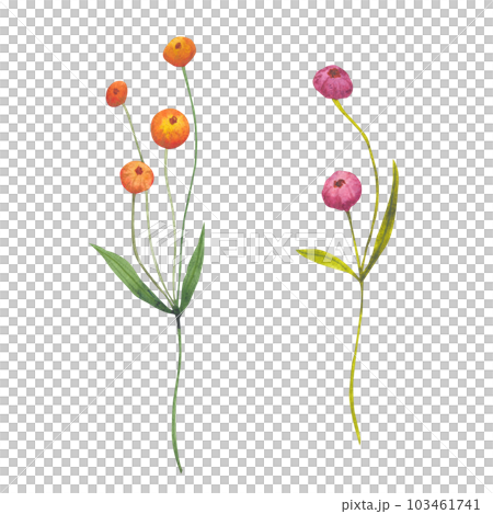 Watercolor abstract greenery branch with purple and orange berries. Botanical illustration on a white background. Ideal for templates, greeting cards, graphics design 103461741