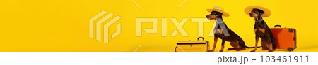 Doberman breed dogs, wearing sunglasses, wearing a hat, on a yellow background in the studio, next to suitcases for vacation, summer travel concept. website banner. Generative AI 103461911