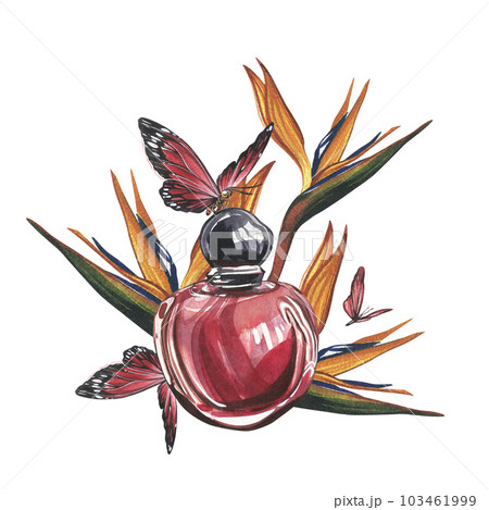Red perfume bottle, strelitzia, butterfly isolated on white background. Watercolor hand drawn illustration. Art design 103461999