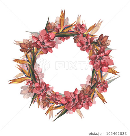 Wreath strelitzia, red flower isolated on white background. Watercolor hand drawn botanic illustration. Art for design 103462028