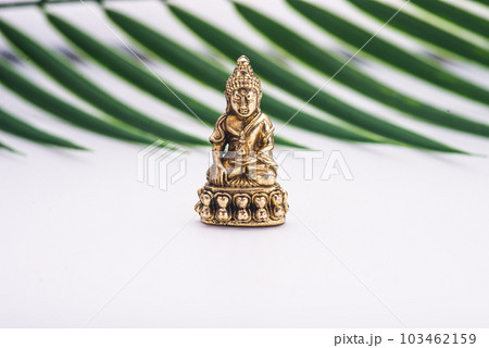 Vesak Day is holy day for Buddhists. Happy Buddha Day with Siddhartha Gautama statue on white background. Mental health and meditation concept. Selective soft focus. Vesak Day is holy day for Buddhists. Happy Buddha Day with Siddhartha Gautama statue on white background. Mental health and meditation concept. Selective soft focus. 103462159