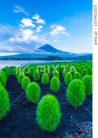 【富士山素材】夏の河口湖から見る富士山【山梨県】 【富士山素材】夏の河口湖から見る富士山【山梨県】 103462885