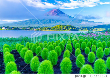 【富士山素材】夏の河口湖から見る富士山【山梨県】 103462894