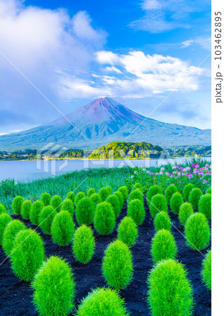 【富士山素材】夏の河口湖から見る富士山【山梨県】 103462895