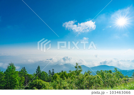 美ヶ原高原の朝【長野県】 103463066