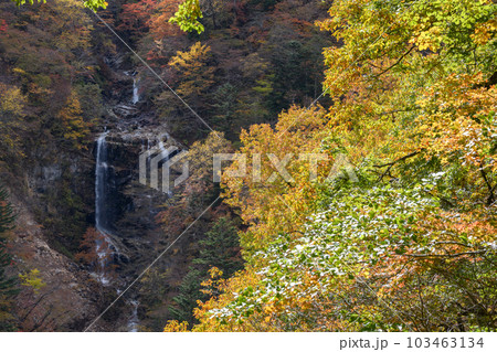 秋の蛇王の滝 103463134