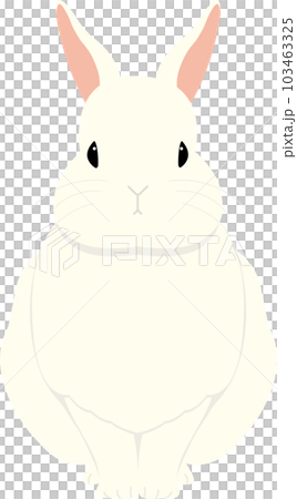 sitting white rabbit sitting white rabbit 103463325