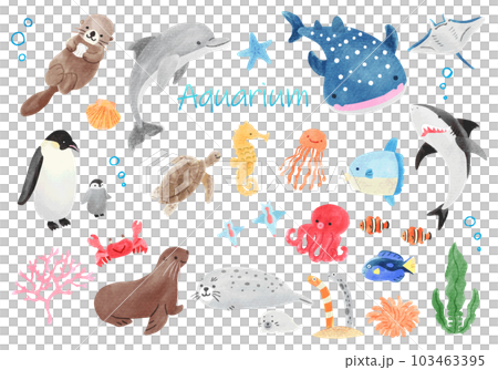 水族館にいるかわいい生き物たちのイラストセット　手書き水彩 103463395