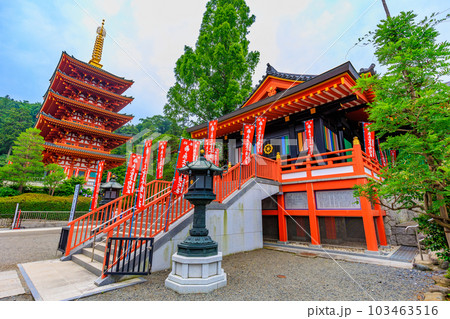 東京　日野市　高幡不動尊 金剛寺　五重塔と奥殿 103463516