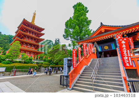 東京 日野市 高幡不動尊 金剛寺 五重塔と奥殿 東京 日野市 高幡不動尊 金剛寺 五重塔と奥殿 103463518