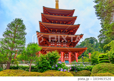 東京　日野市　高幡不動尊 金剛寺　五重塔とあじさい 103463520
