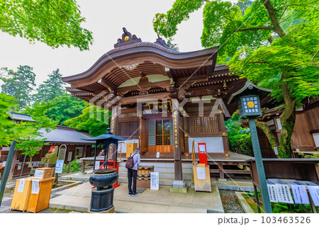 東京　日野市　高幡不動尊 金剛寺　大師堂とあじさい 103463526