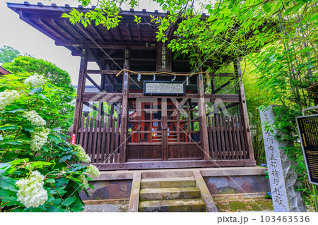 東京　日野市　高幡不動尊 金剛寺　金剛寺旧五部権現社殿 103463536