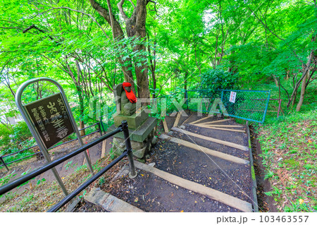 東京　日野市　高幡不動尊　山内八十八ヶ所巡拝と山あじさい 103463557