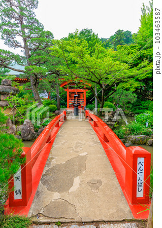 東京 日野市 高幡不動尊 金剛寺 あじさいと弁天堂 東京 日野市 高幡不動尊 金剛寺 あじさいと弁天堂 103463587