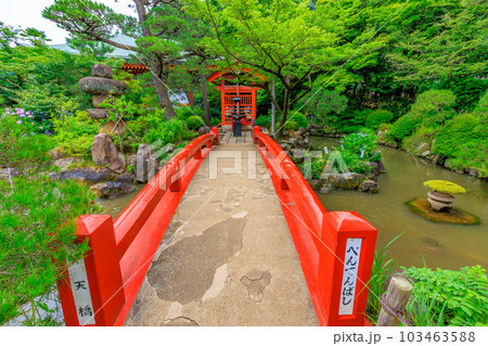 東京 日野市 高幡不動尊 金剛寺 あじさいと弁天堂 東京 日野市 高幡不動尊 金剛寺 あじさいと弁天堂 103463588