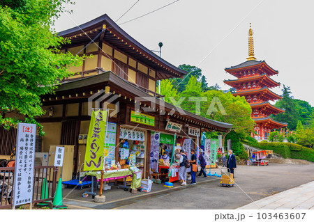 東京 日野市 高幡不動尊 金剛寺 峠の茶屋と五重塔 東京 日野市 高幡不動尊 金剛寺 峠の茶屋と五重塔 103463607