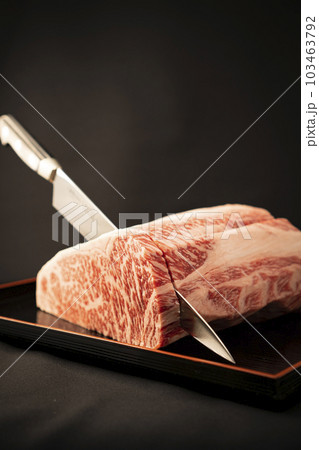 お肉と包丁 103463792