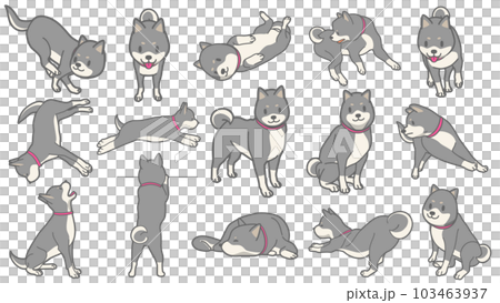 Vector illustration set of black shiba 103463937