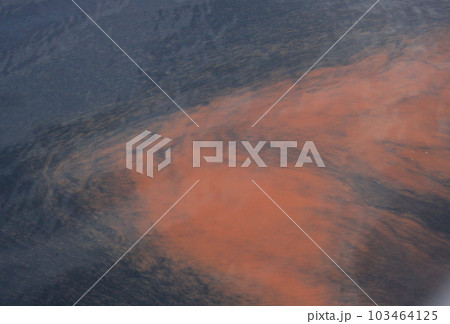 海面に現れた赤潮（フェリーから） 103464125