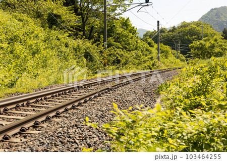 千手院観音前の線路 千手院観音前の線路 103464255