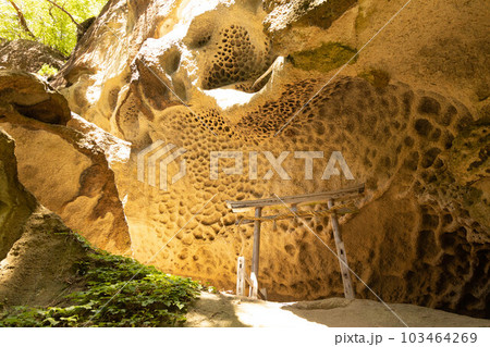 垂水遺跡　山形県 103464269