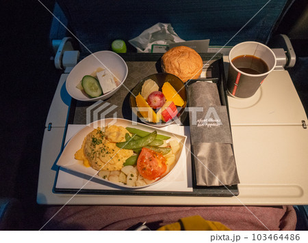トルコ航空のフライト中に出された機内食の夕食 103464486
