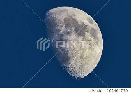 Moon detailed closeup 103464750