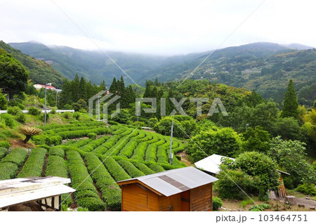 宮崎県諸塚村の風景 103464751