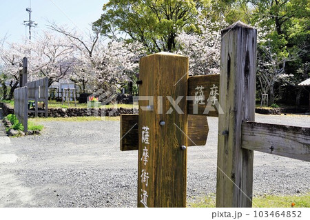 野間の関跡　桜の咲く頃　出水市　鹿児島県 103464852
