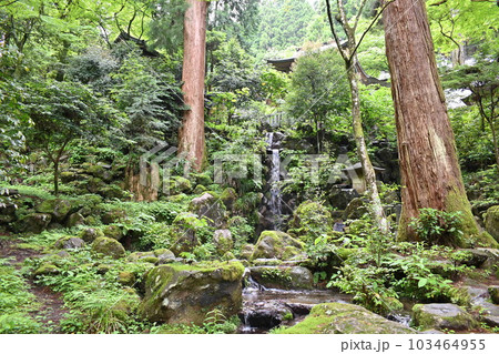 新緑の森 新緑の森 103464955