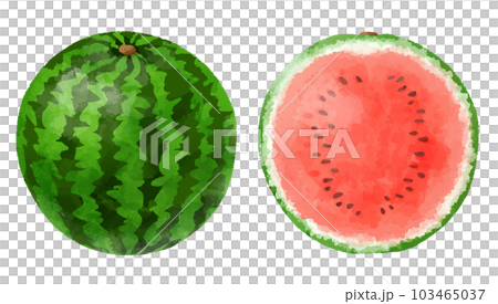 Hand drawn illustration of watermelon in watercolor style Hand drawn illustration of watermelon in watercolor style 103465037
