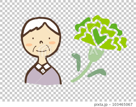 可愛的老人和康乃馨/手繪插畫素材 103465067